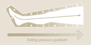 6-chamber-gradient-principle