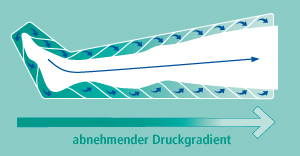 lympha-mat 12-Kammer-Gradient-System